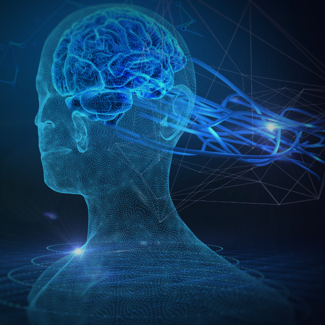 Neurowissenschaft