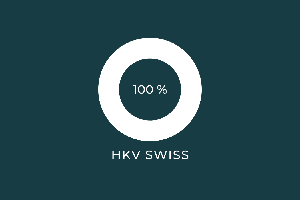 Projektmanager - HKV Aarau